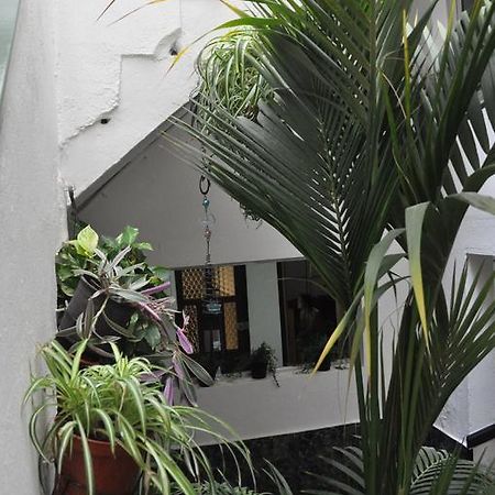 Falow Las Palmas de Gran Canaria Eksteriør bilde